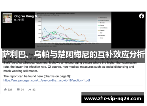 萨利巴、乌帕与楚阿梅尼的互补效应分析