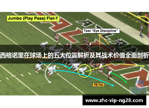 西格诺里在球场上的五大位置解析及其战术价值全面剖析 西格诺里在球场上的五大位置解析及其战术价值全面剖析